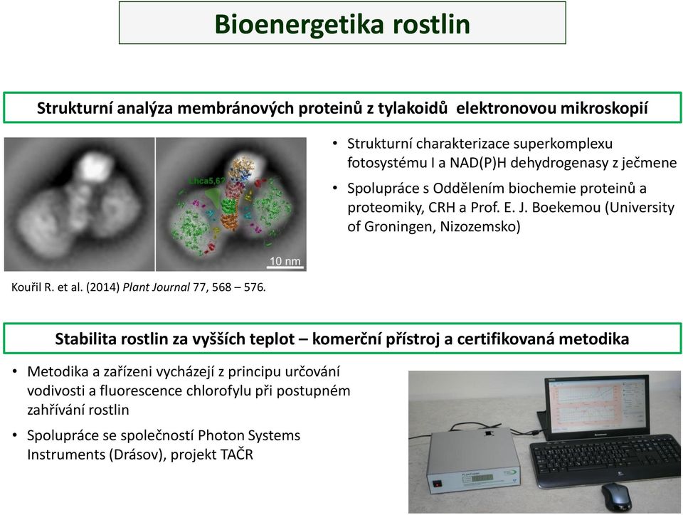 Boekemou (University of Groningen, Nizozemsko) Kouřil R. et al. (2014) Plant Journal 77, 568 576.