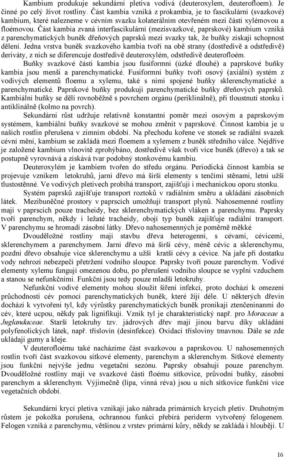 Část kambia zvaná interfascikulární (mezisvazkové, paprskové) kambium vzniká z parenchymatických buněk dřeňových paprsků mezi svazky tak, že buňky získají schopnost dělení.