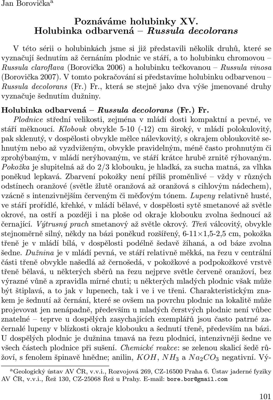 claroflava (Borovička 2006) a holubinku tečkovanou Russula vinosa (Borovička 2007). V tomto pokračování si představíme holubinku odbarvenou Russula decolorans (Fr.) Fr.