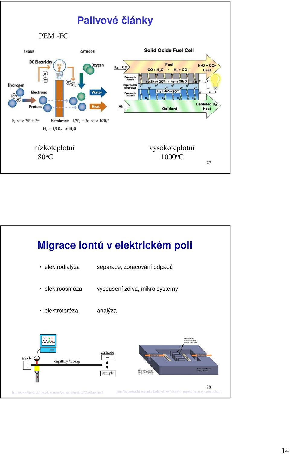 mikro systémy elektroforéza analýza http://www.bio.davidson.