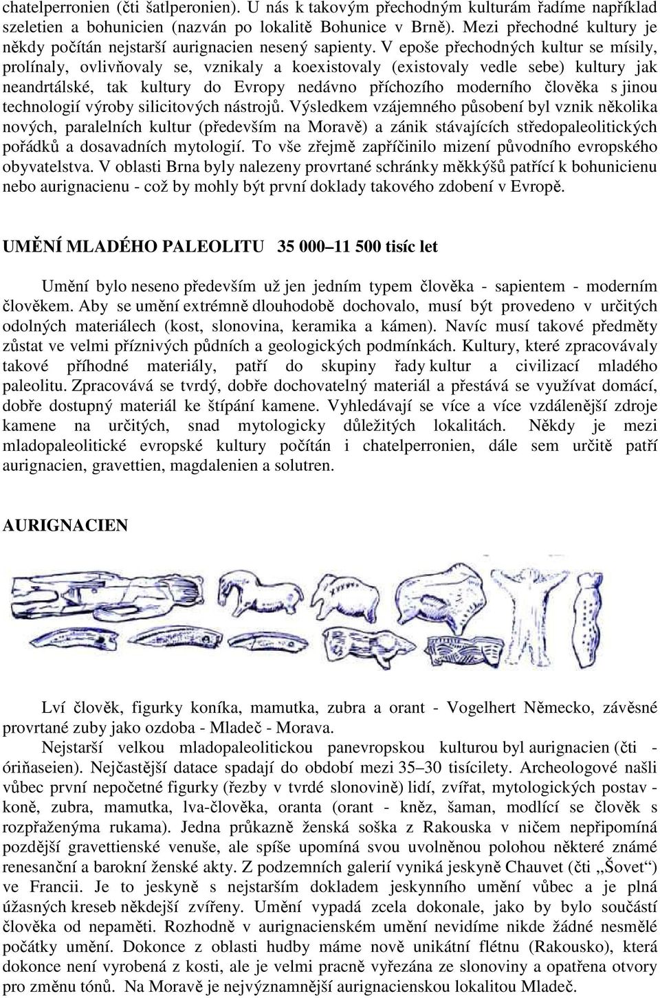 V epoše přechodných kultur se mísily, prolínaly, ovlivňovaly se, vznikaly a koexistovaly (existovaly vedle sebe) kultury jak neandrtálské, tak kultury do Evropy nedávno příchozího moderního člověka s