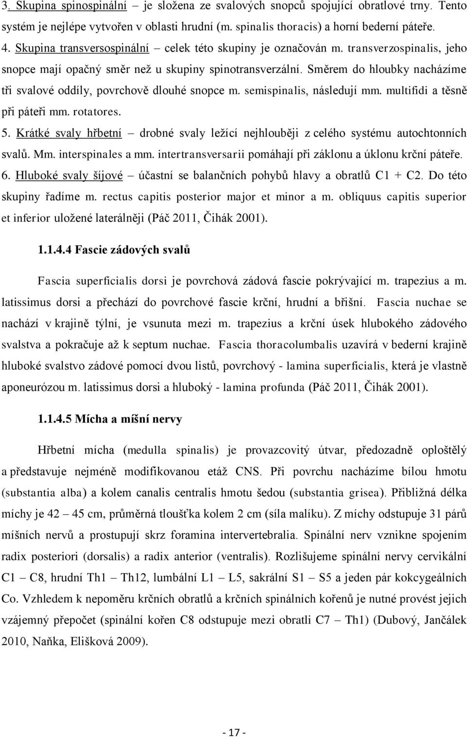 Směrem do hloubky nacházíme tři svalové oddíly, povrchově dlouhé snopce m. semispinalis, následují mm. multifidi a těsně při páteři mm. rotatores. 5.