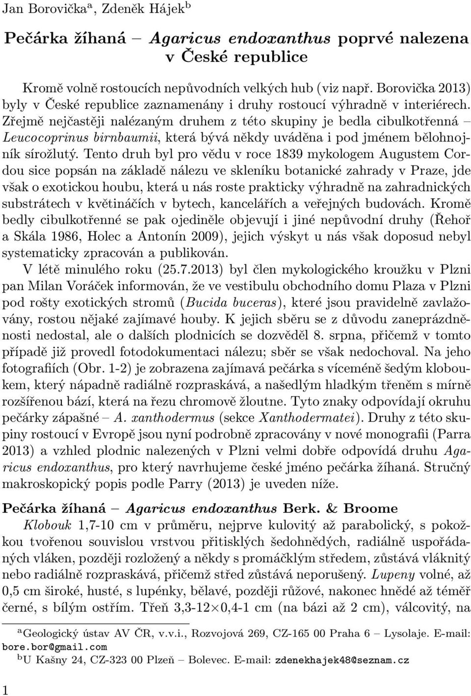 Zřejmě nejčastěji nalézaným druhem z této skupiny je bedla cibulkotřenná Leucocoprinus birnbaumii, která bývá někdy uváděna i pod jménem bělohnojník sírožlutý.