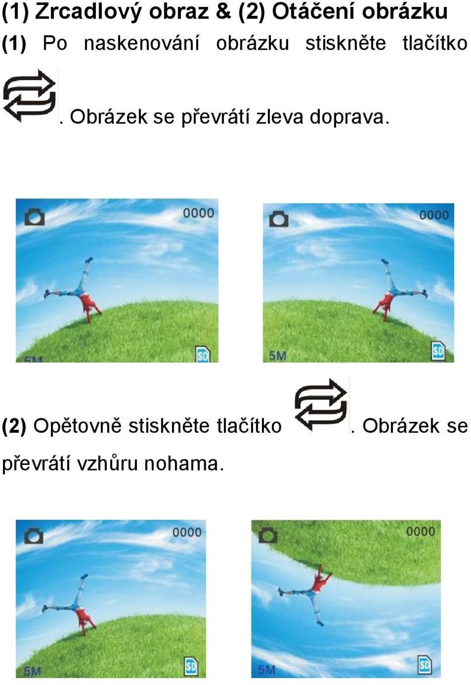 Obrázek se převrátí zleva doprava.