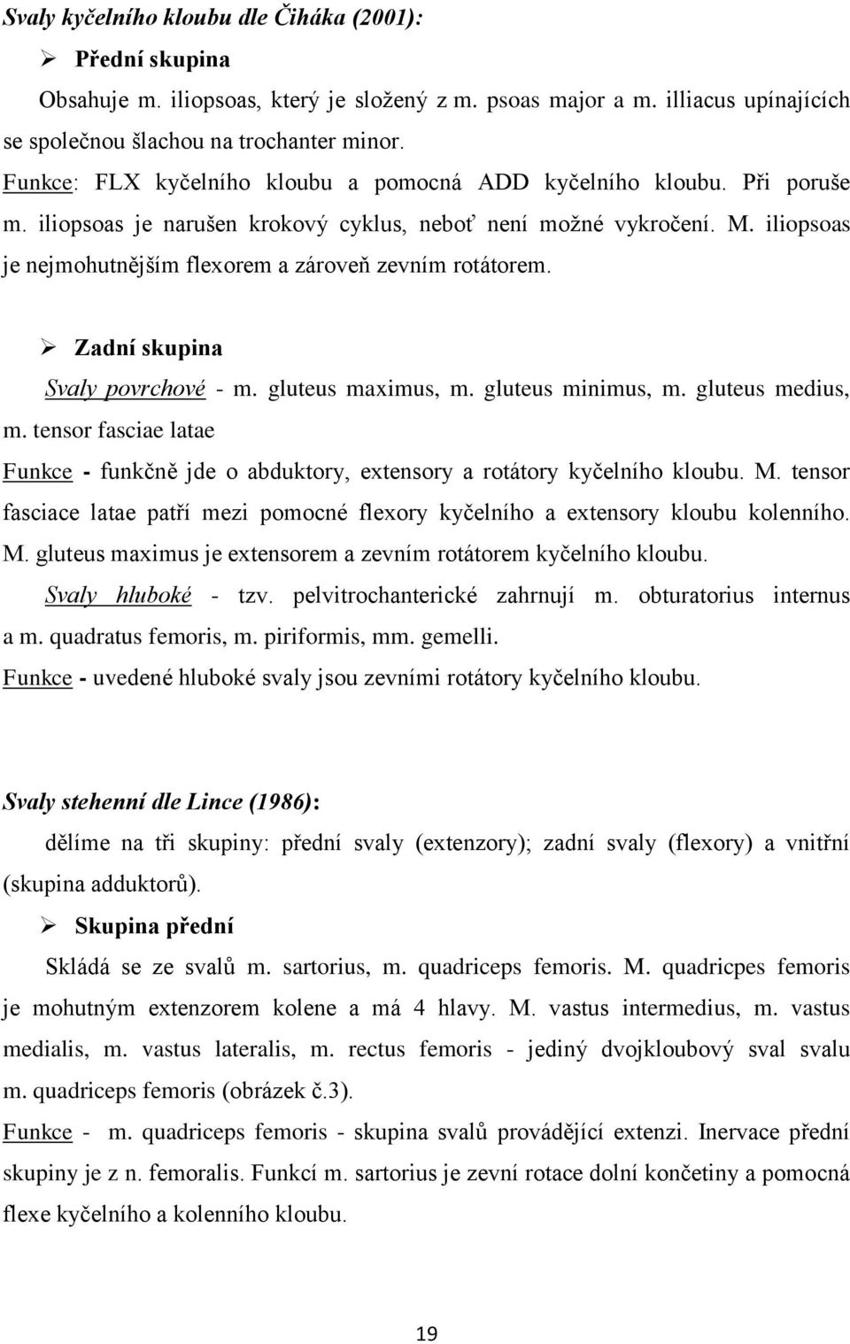 iliopsoas je nejmohutnějším flexorem a zároveň zevním rotátorem. Zadní skupina Svaly povrchové - m. gluteus maximus, m. gluteus minimus, m. gluteus medius, m.