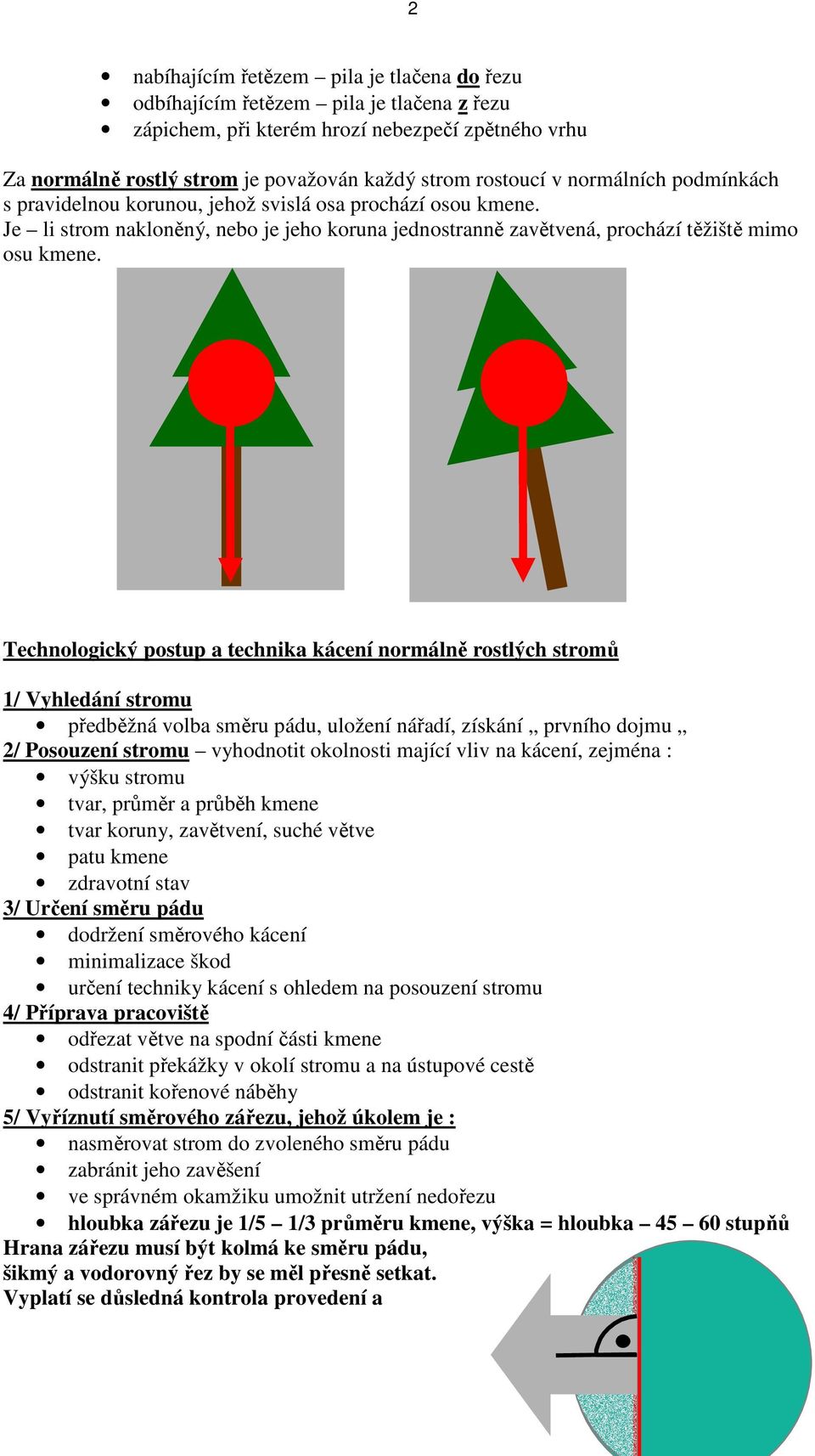 Technologický postup a technika kácení normálně rostlých stromů 1/ Vyhledání stromu předběžná volba směru pádu, uložení nářadí, získání prvního dojmu 2/ Posouzení stromu vyhodnotit okolnosti mající