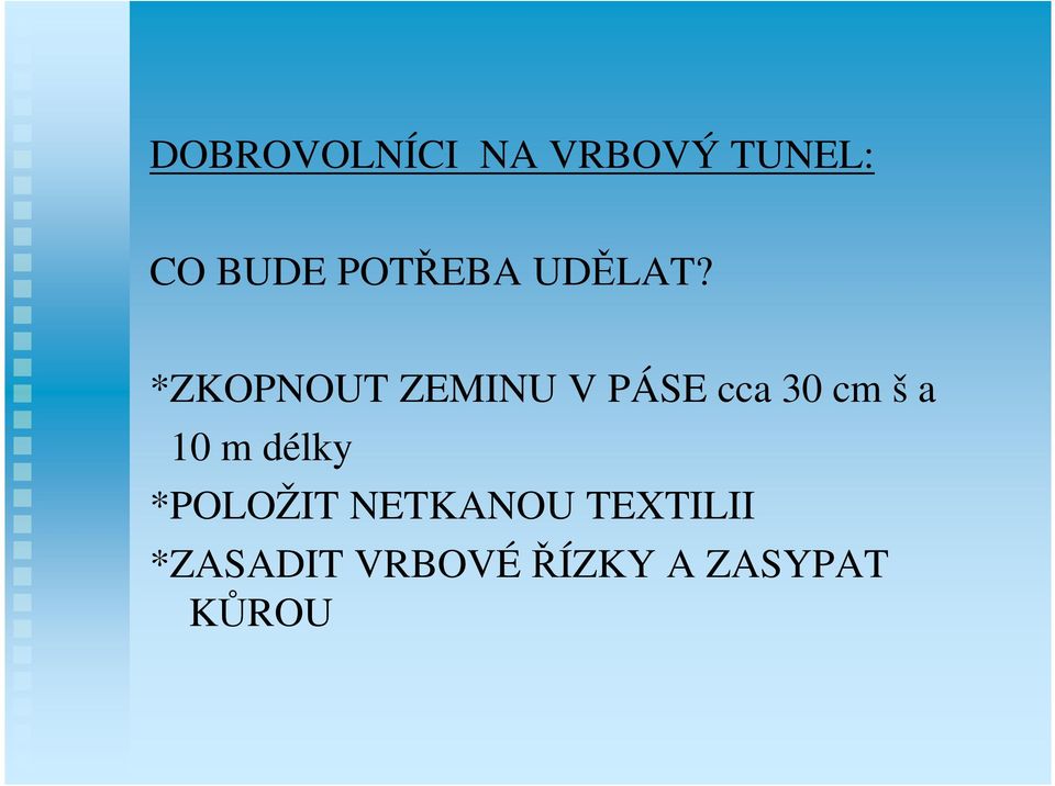 *ZKOPNOUT ZEMINU V PÁSE cca 30 cm š a 10