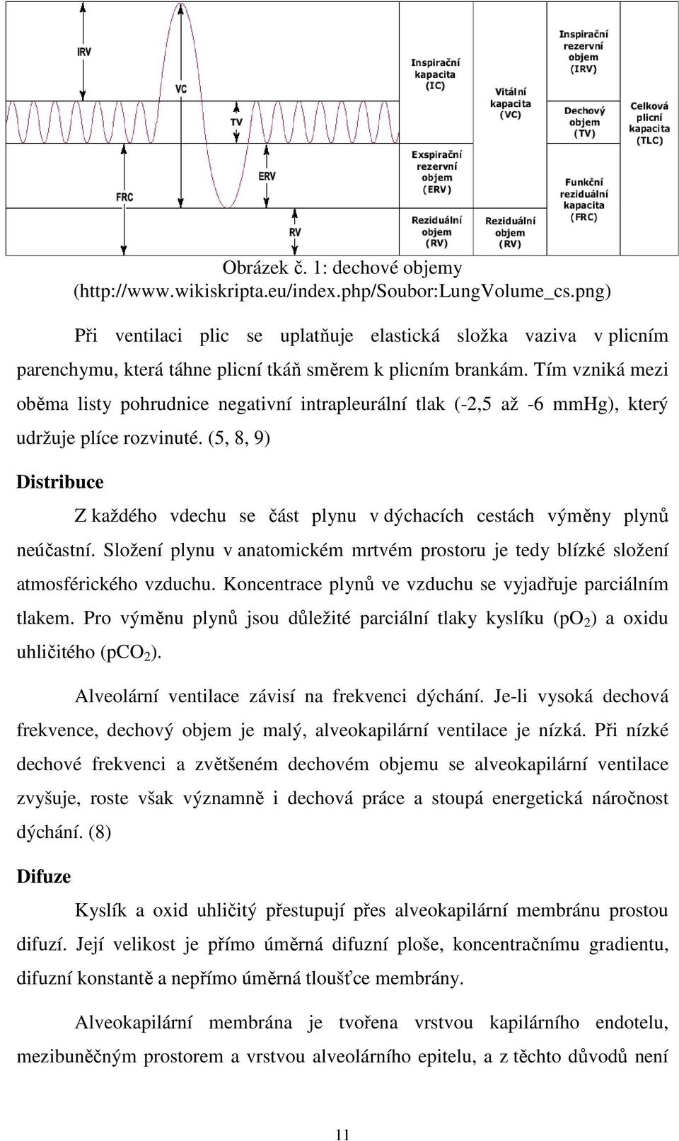 Tím vzniká mezi oběma listy pohrudnice negativní intrapleurální tlak (-2,5 až -6 mmhg), který udržuje plíce rozvinuté.