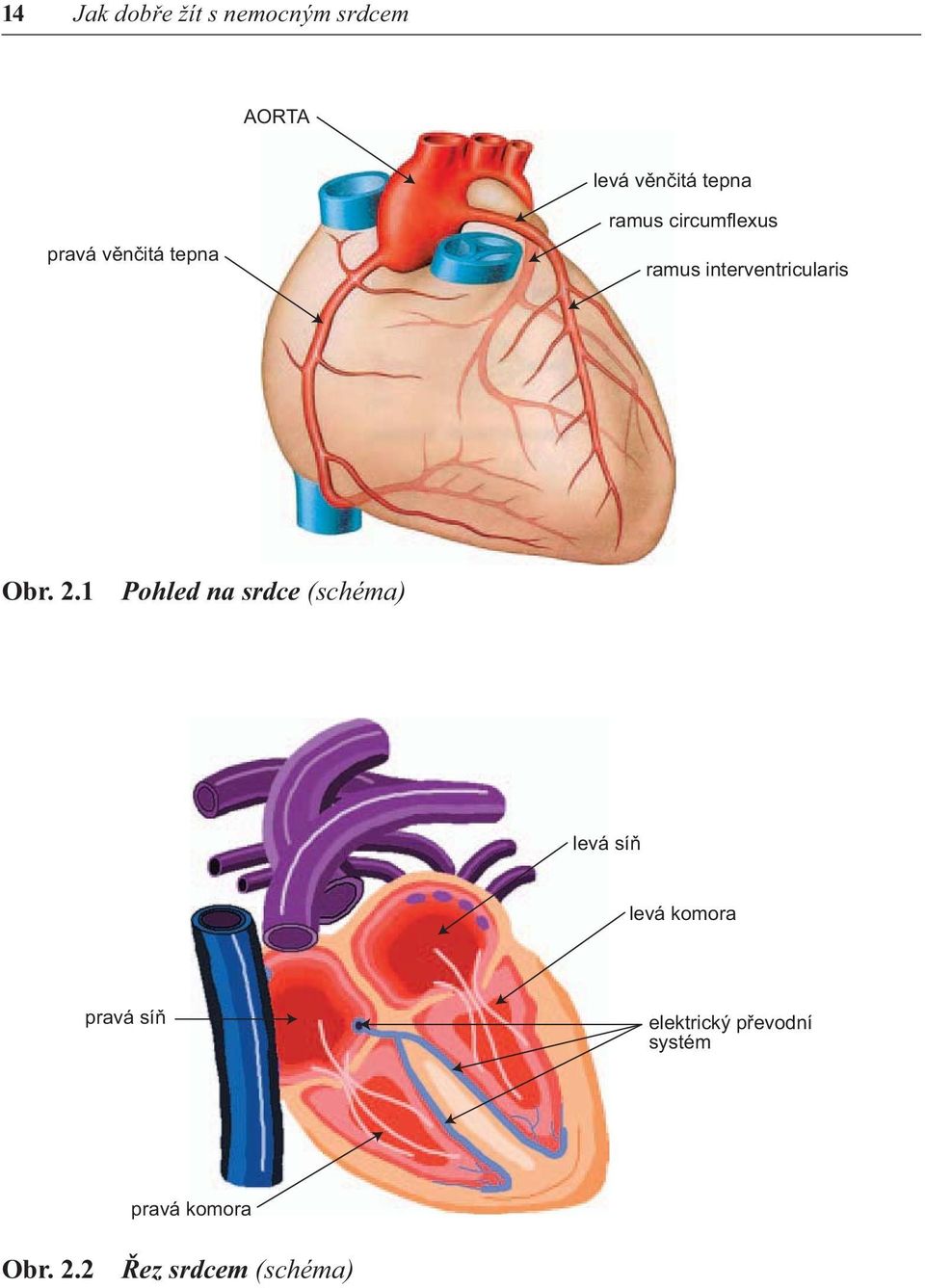 Obr. 2.