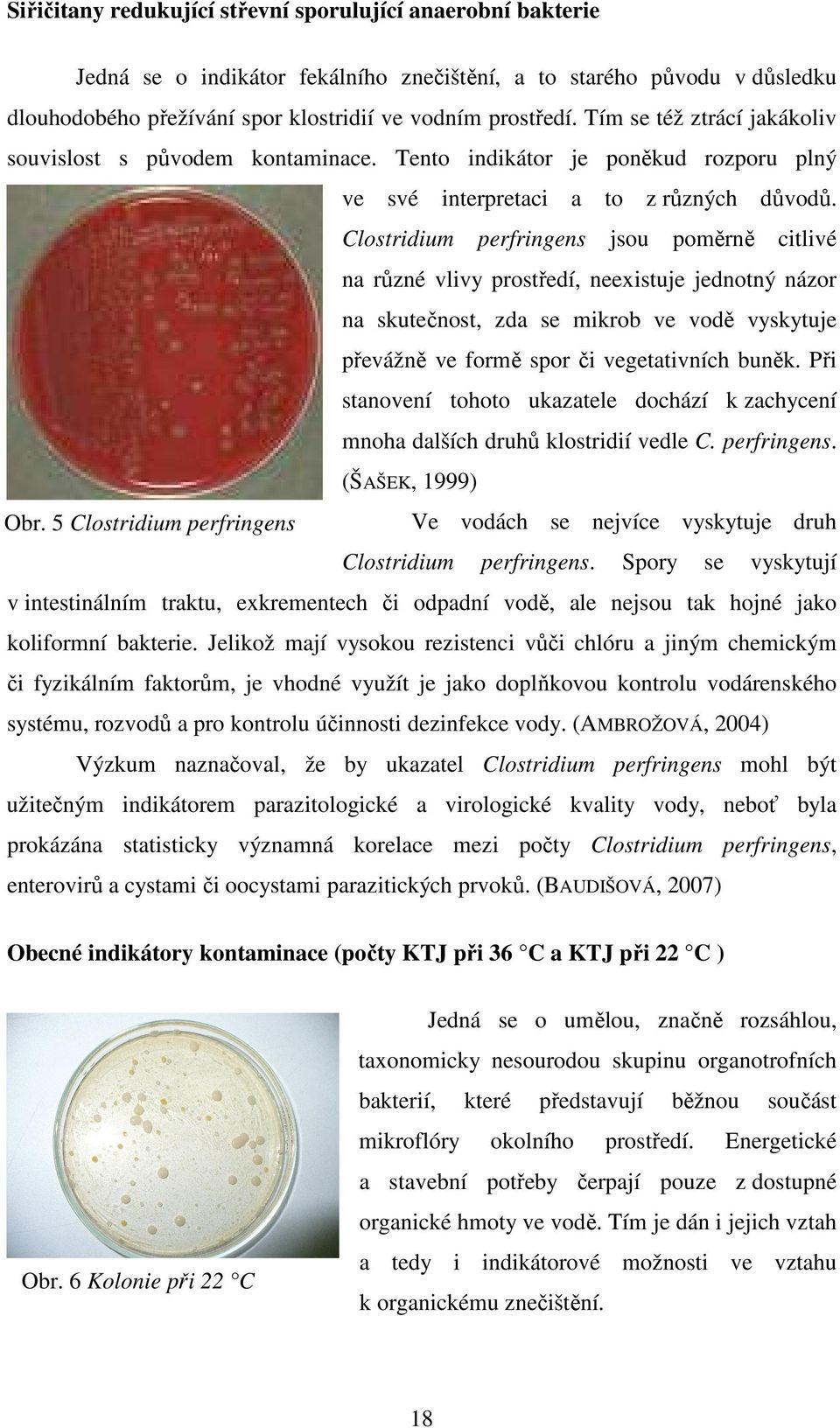 Clostridium perfringens jsou poměrně citlivé na různé vlivy prostředí, neexistuje jednotný názor na skutečnost, zda se mikrob ve vodě vyskytuje převážně ve formě spor či vegetativních buněk.