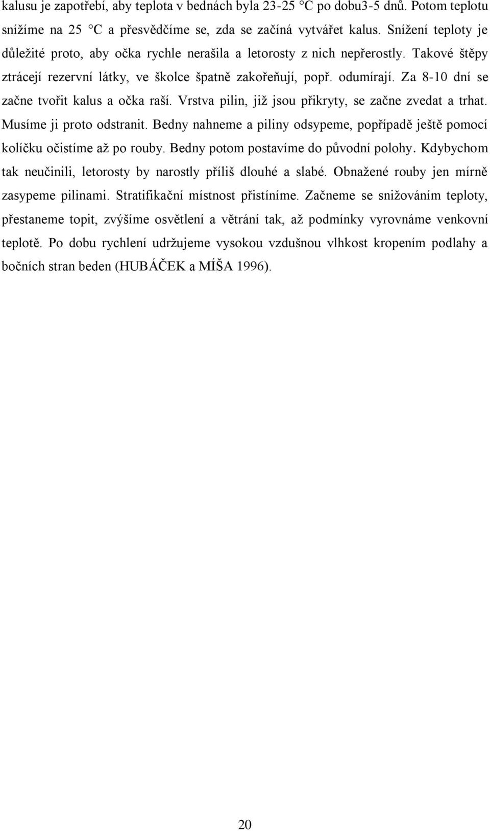 Za 8-10 dní se začne tvořit kalus a očka raší. Vrstva pilin, již jsou přikryty, se začne zvedat a trhat. Musíme ji proto odstranit.