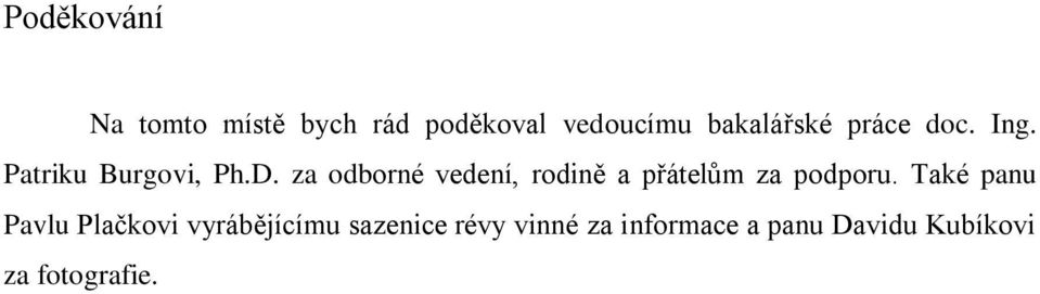 za odborné vedení, rodině a přátelům za podporu.