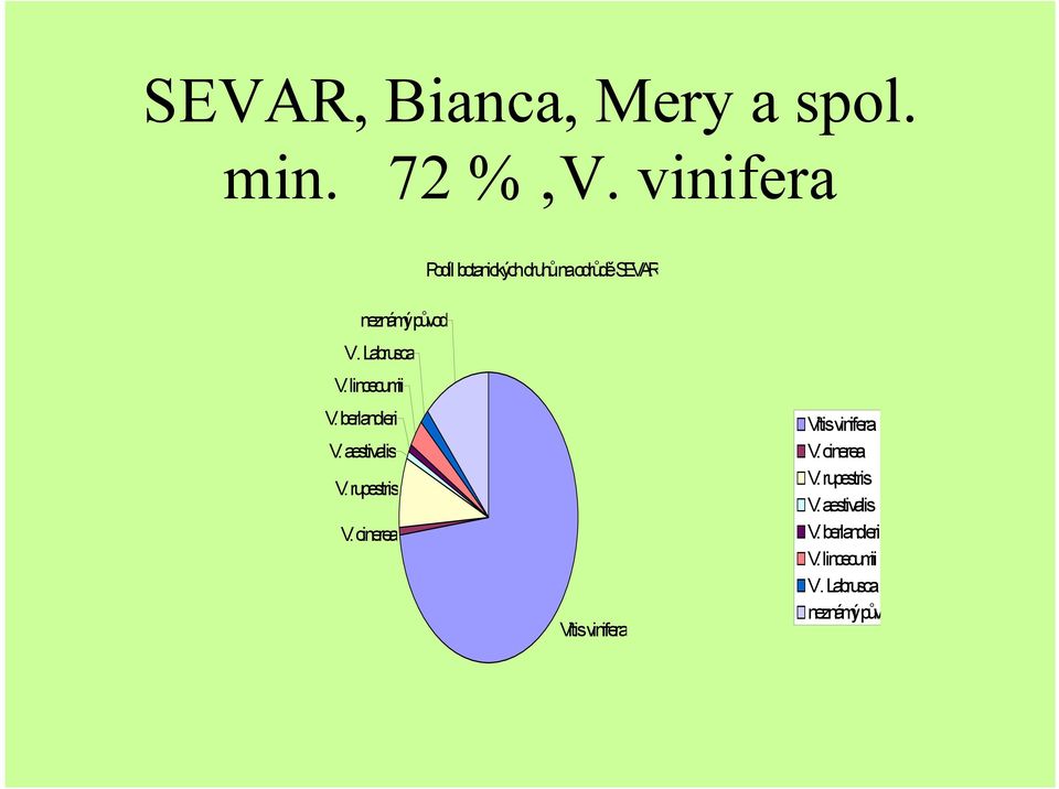 Labrusca V. lincecumii V. berlandieri V. aestivalis V. rupestris V.