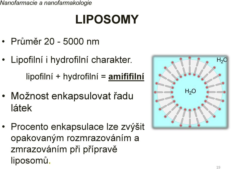 lipofilní + hydrofilní = amififilní Možnost enkapsulovat řadu