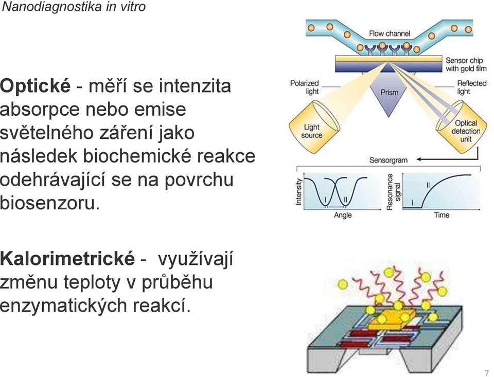 biochemické reakce odehrávající se na povrchu biosenzoru.