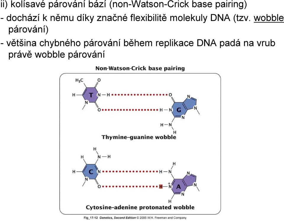 molekuly DNA (tzv.