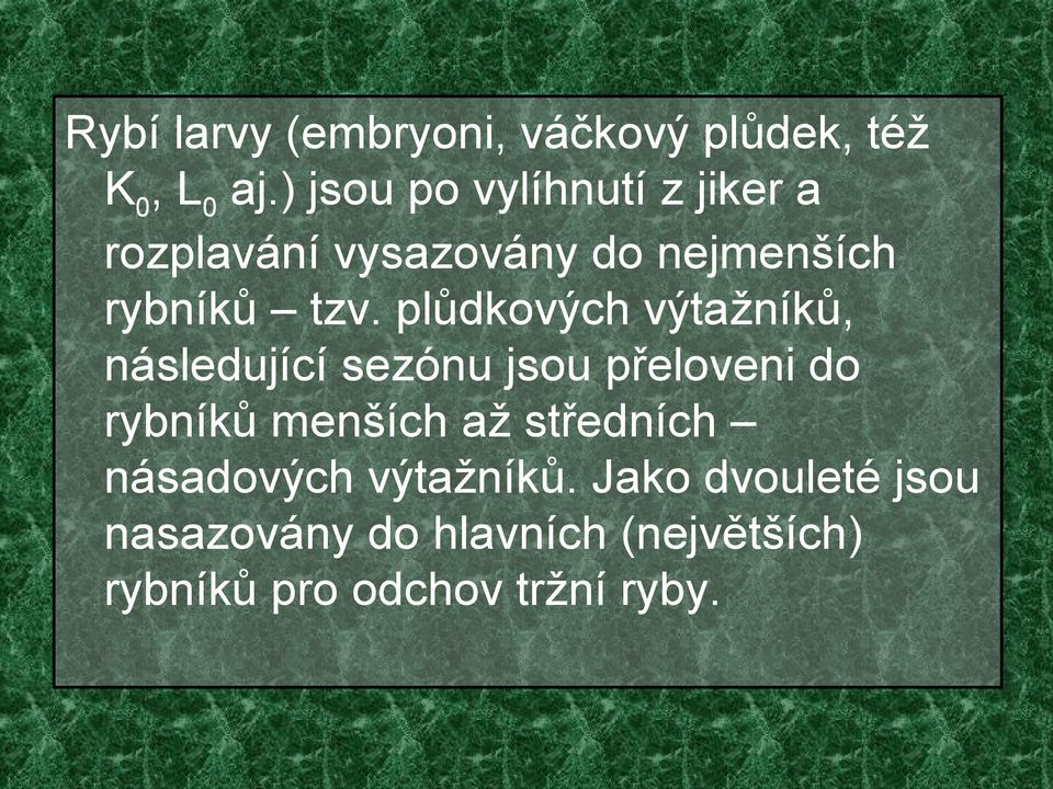 plůdkových výtažníků, následující sezónu jsou přeloveni do rybníků menších až