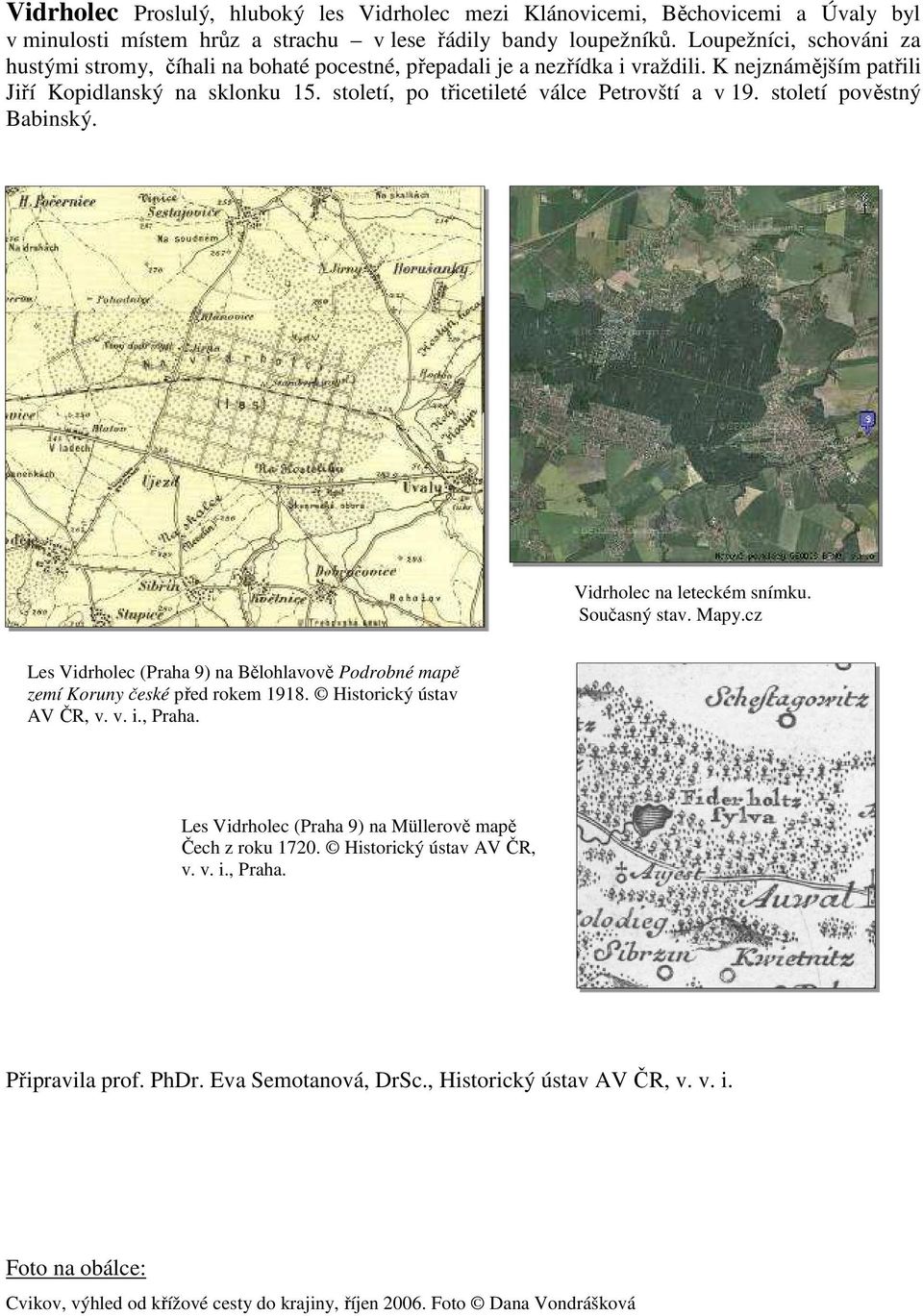 století, po třicetileté válce Petrovští a v 19. století pověstný Babinský. Vidrholec na leteckém snímku. Současný stav. Mapy.