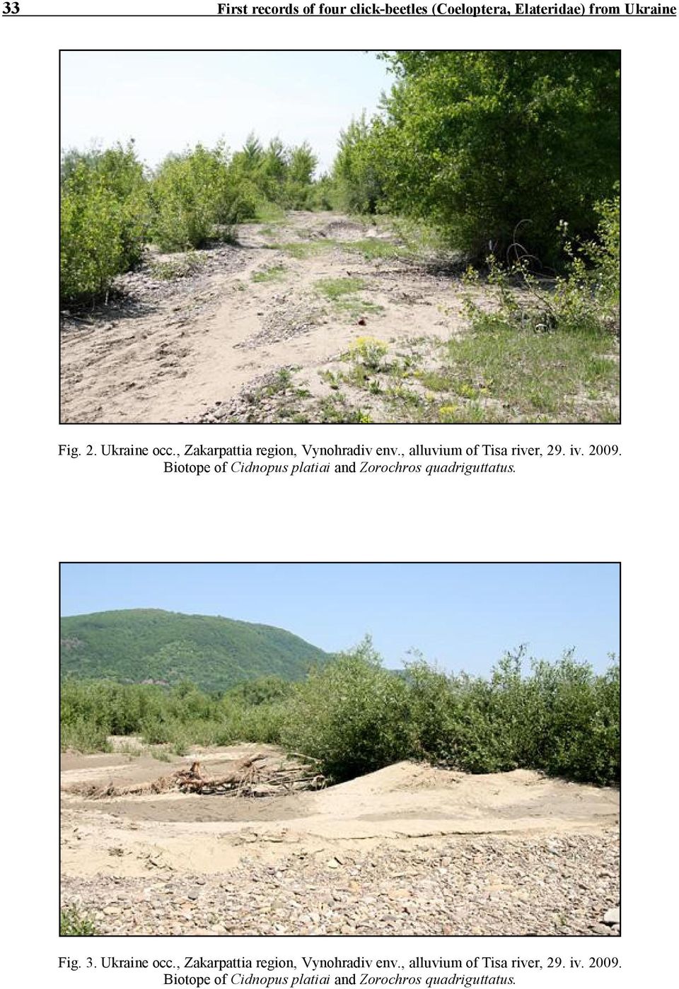 Biotope of Cidnopus platiai and Zorochros quadriguttatus. Fig. 3. Ukraine occ.