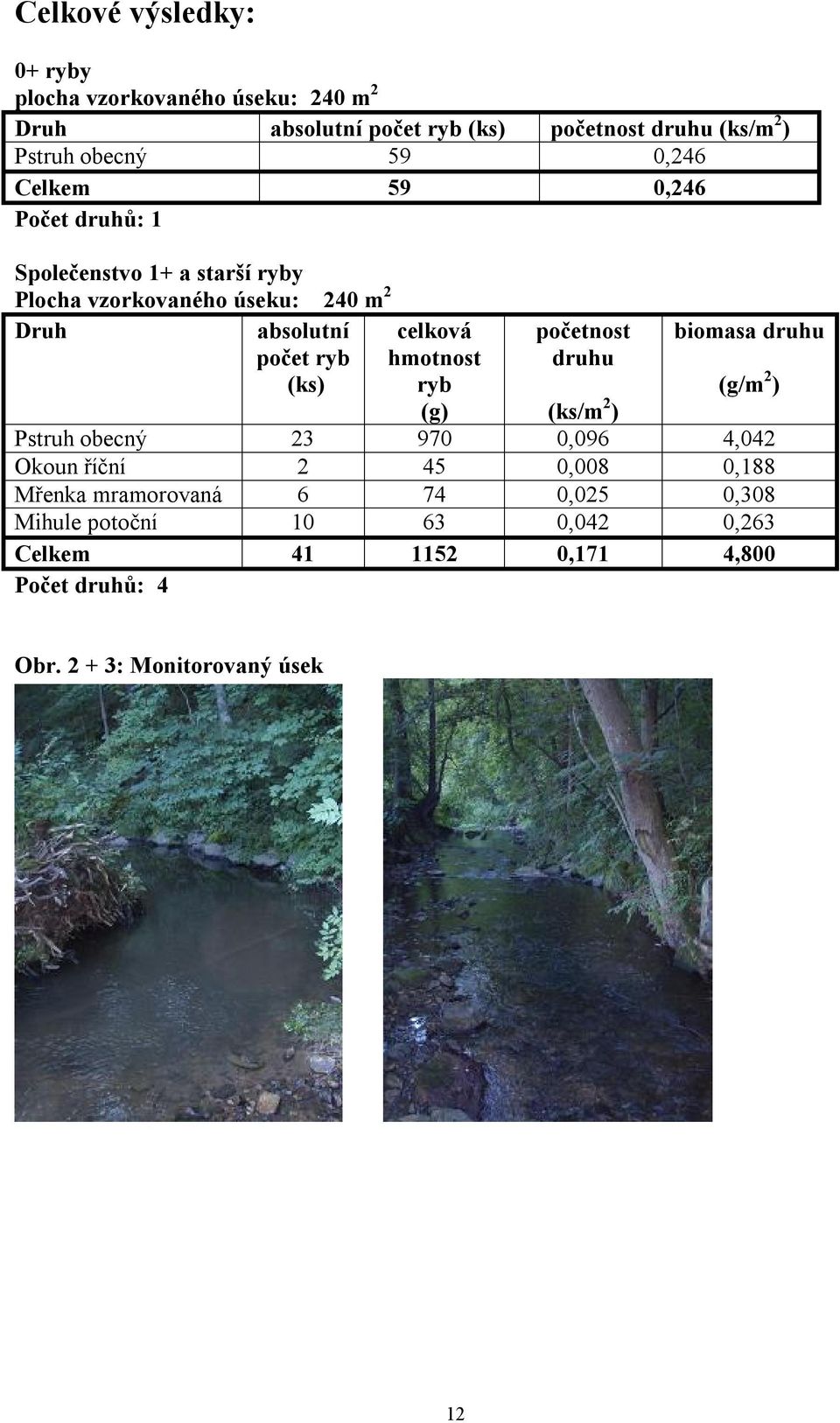 celková hmotnost ryb (g) početnost druhu biomasa druhu (g/m 2 ) (ks/m 2 ) Pstruh obecný 23 970 0,096 4,042 Okoun říční 2 45 0,008 0,188