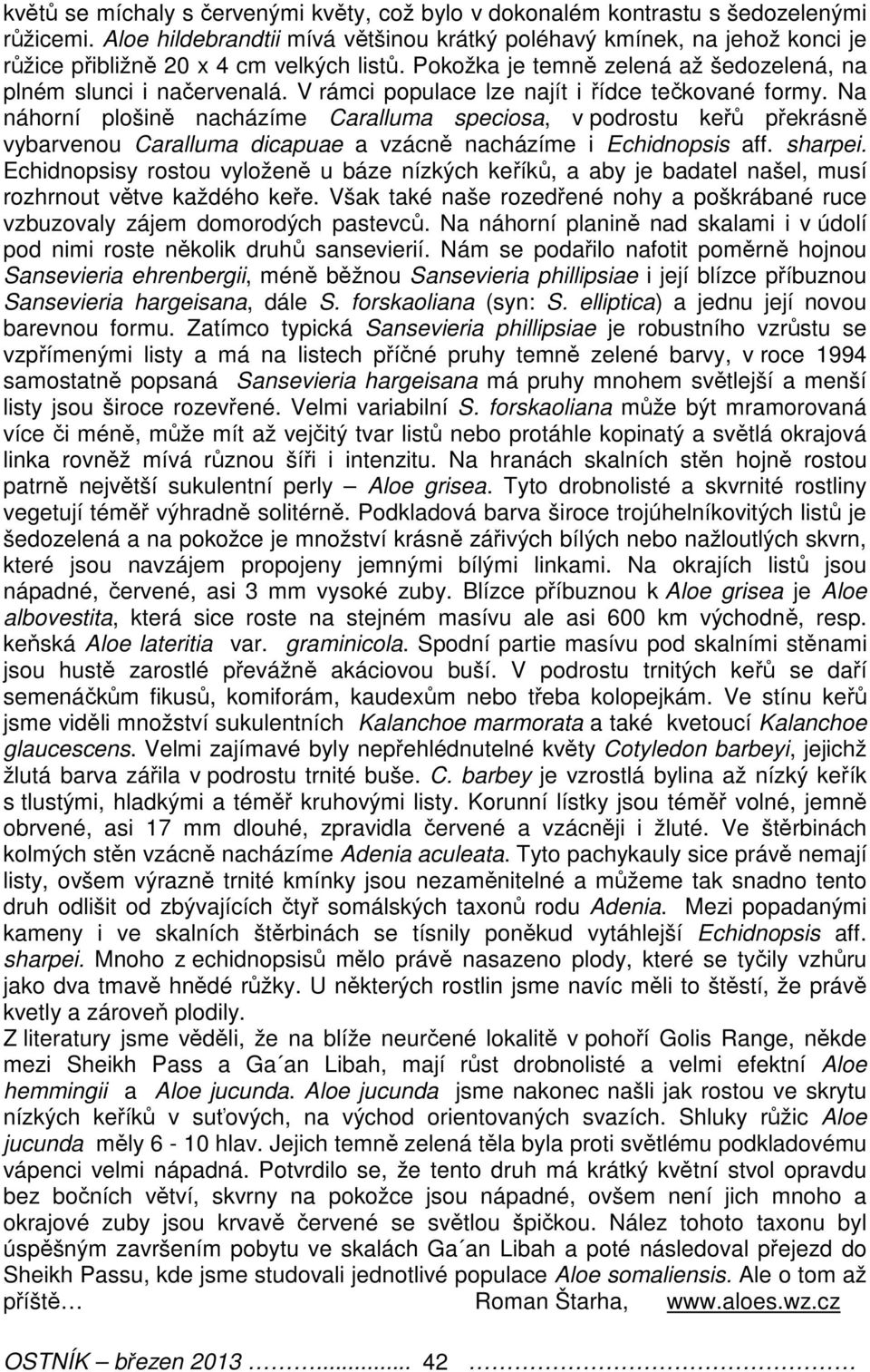 V rámci populace lze najít i řídce tečkované formy. Na náhorní plošině nacházíme Caralluma speciosa, v podrostu keřů překrásně vybarvenou Caralluma dicapuae a vzácně nacházíme i Echidnopsis aff.