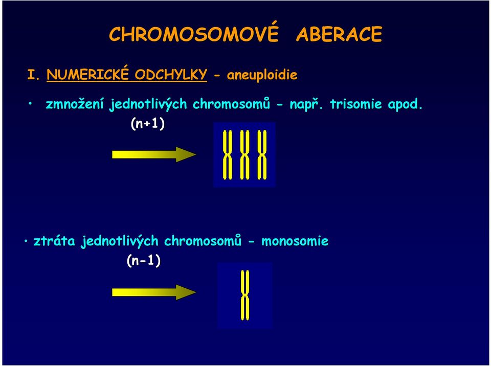 ení jednotlivých chromosomů - např.