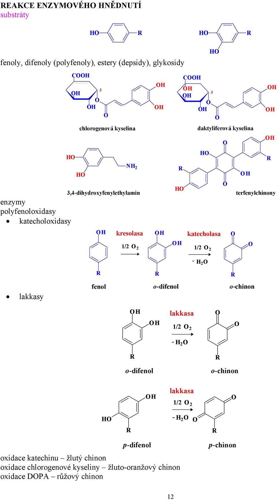 katecholasa / / terfenylchinony lakkasy - fenol o-difenol o-chinon lakkasa / - o-difenol o-chinon lakkasa / -