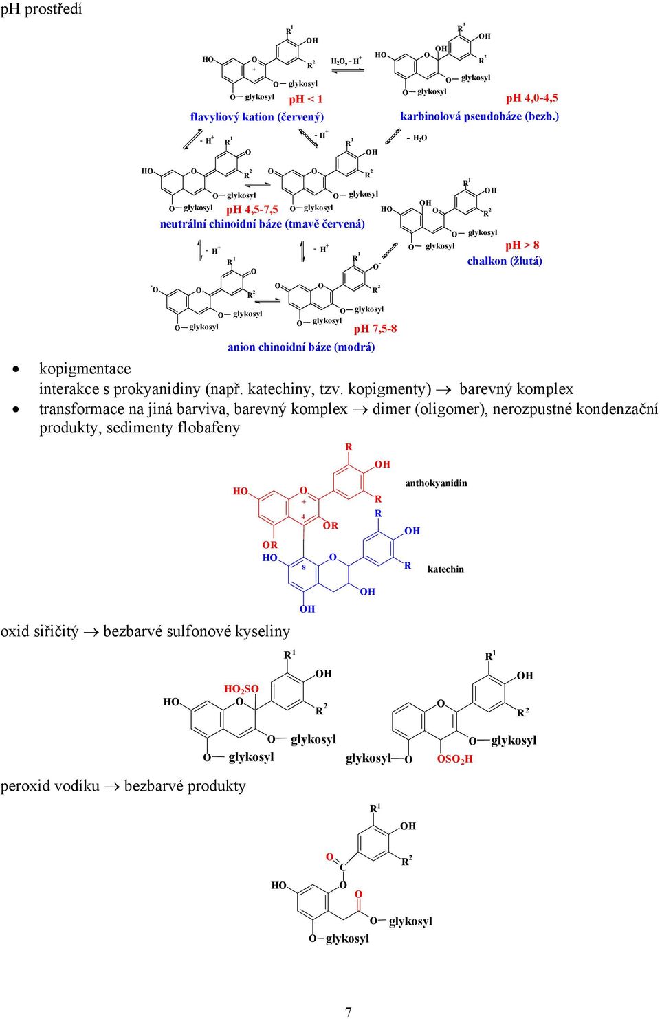 kopigmentace interakce s prokyanidiny (např. katechiny, tzv.