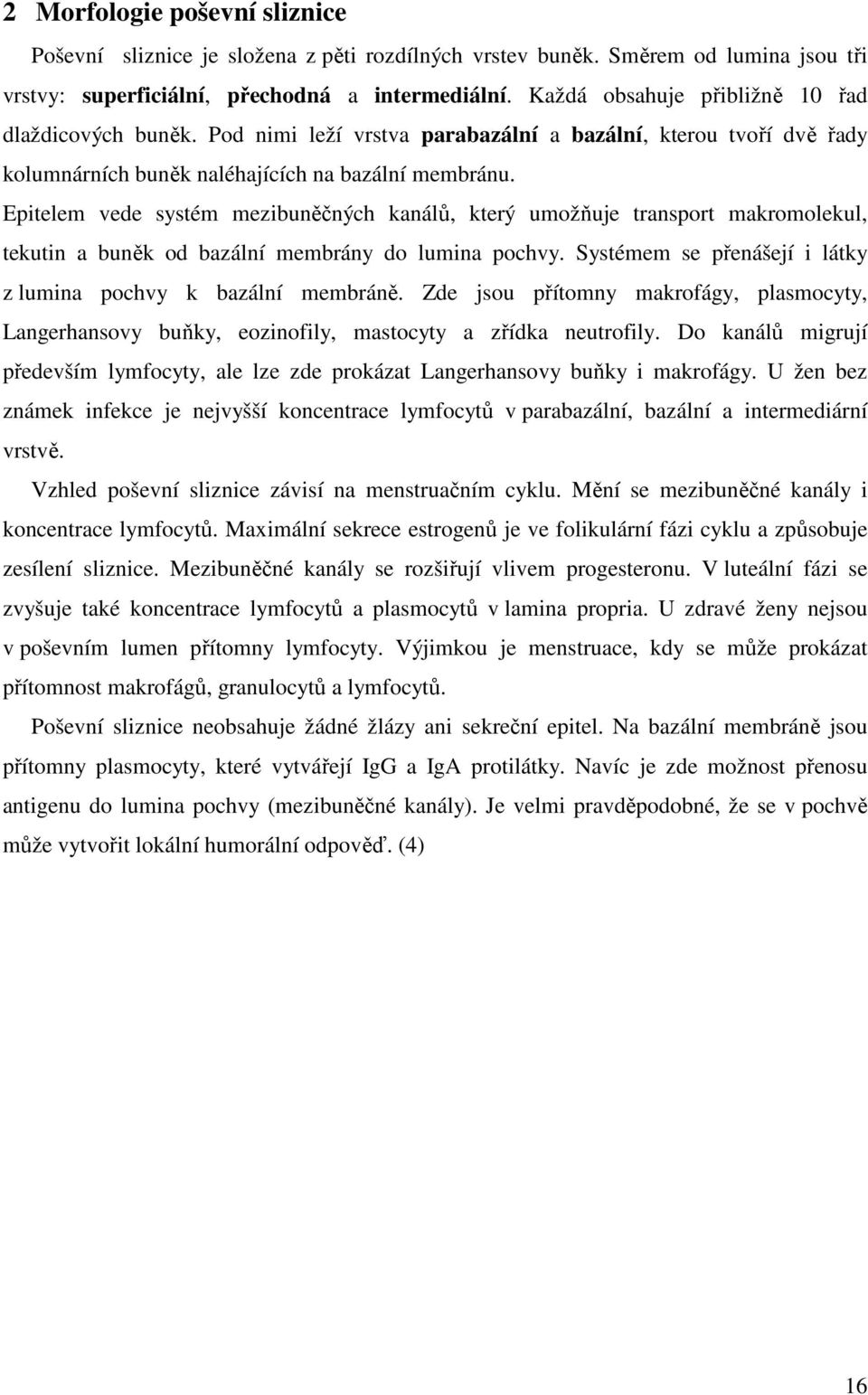 Epitelem vede systém mezibuněčných kanálů, který umožňuje transport makromolekul, tekutin a buněk od bazální membrány do lumina pochvy.