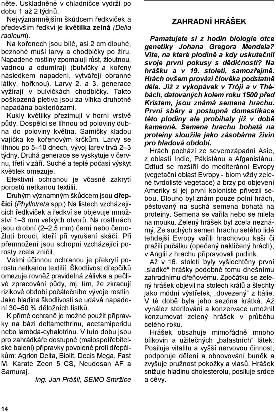 Napadené rostliny zpomalují rst, žloutnou, vadnou a odumírají (bulviky a koeny následkem napadení, vytváejí obranné látky, hoknou). Larvy 2. a 3. generace vyžírají v bulvikách chodbiky.