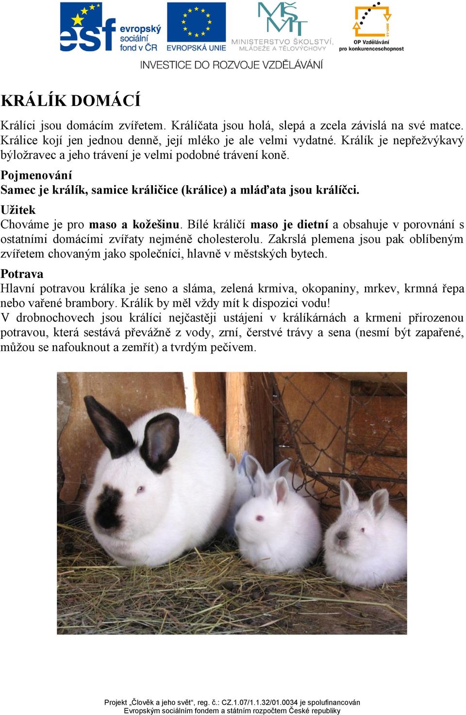 Bílé králičí maso je dietní a obsahuje v porovnání s ostatními domácími zvířaty nejméně cholesterolu. Zakrslá plemena jsou pak oblíbeným zvířetem chovaným jako společníci, hlavně v městských bytech.