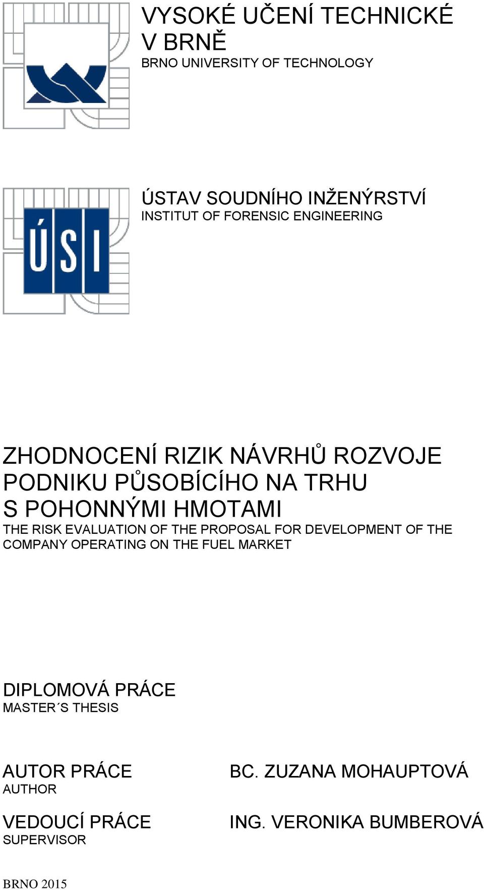 RISK EVALUATION OF THE PROPOSAL FOR DEVELOPMENT OF THE COMPANY OPERATING ON THE FUEL MARKET DIPLOMOVÁ