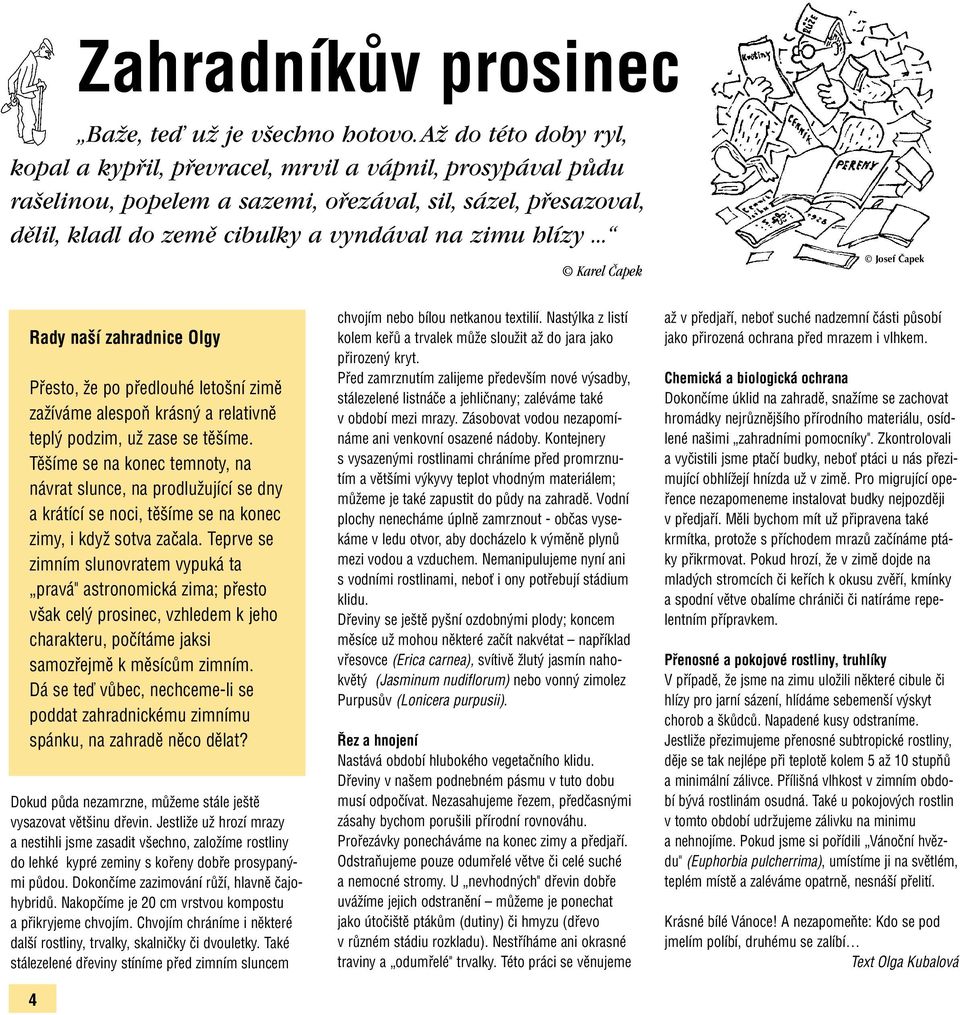 hlízy... Karel âapek Josef âapek Rady naší zahradnice Olgy Přesto, že po předlouhé letošní zimě zažíváme alespoň krásný a relativně teplý podzim, už zase se těšíme.