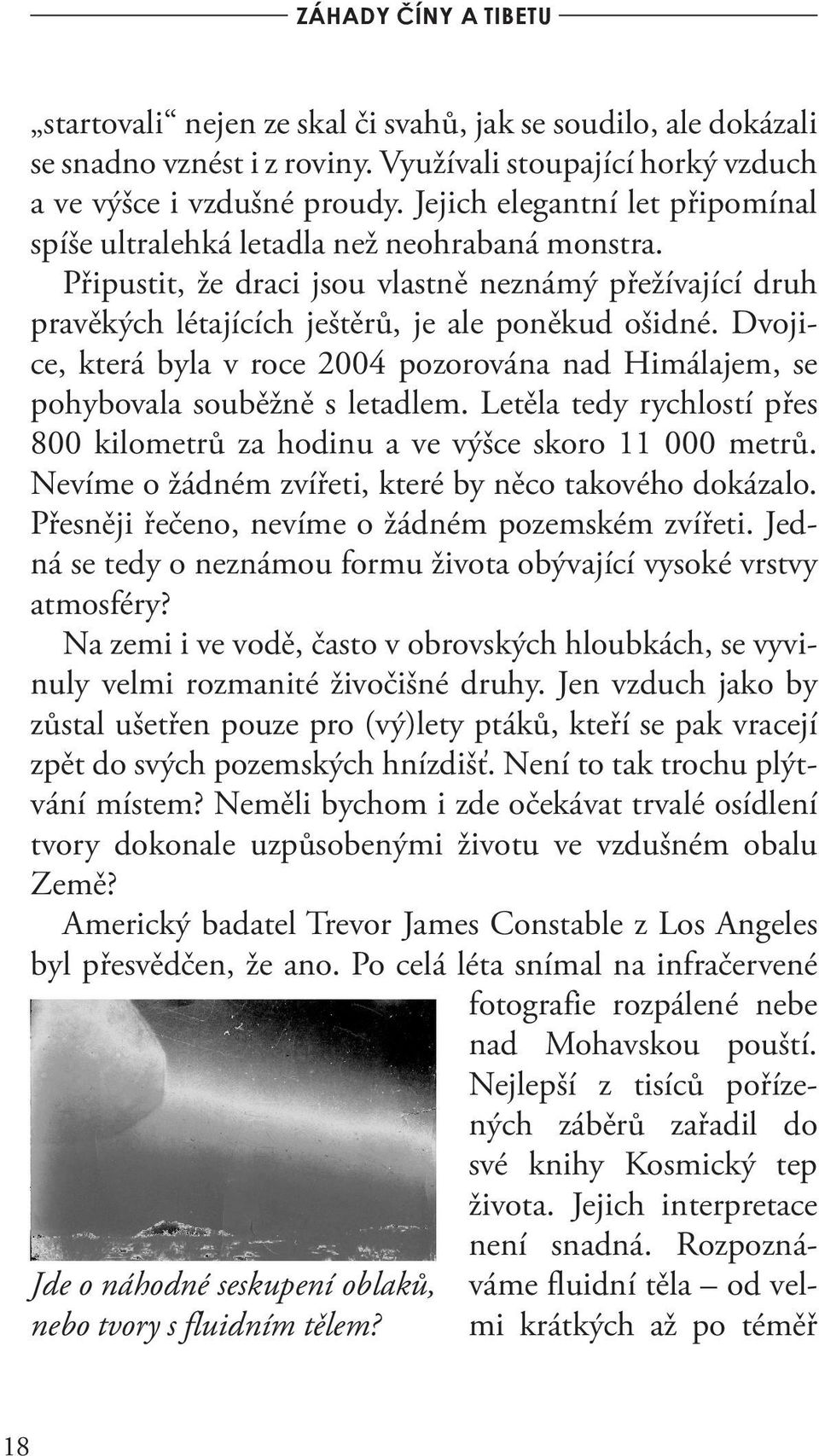 Dvojice, která byla v roce 2004 pozorována nad Himálajem, se pohybovala souběžně s letadlem. Letěla tedy rychlostí přes 800 kilometrů za hodinu a ve výšce skoro 11 000 metrů.