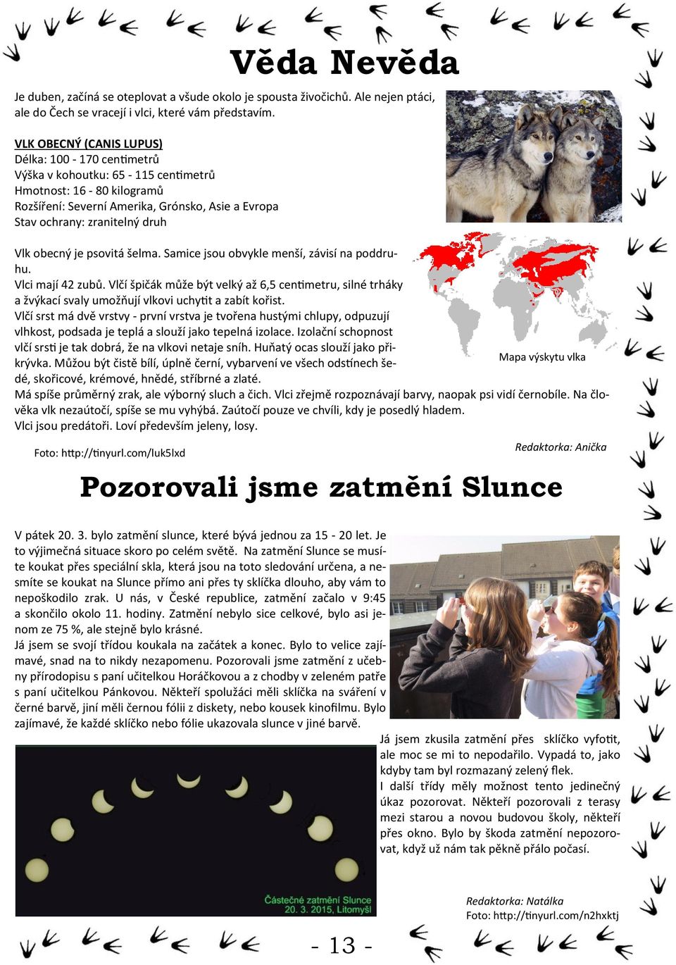obecný je psovitá šelma. Samice jsou obvykle menší, závisí na poddruhu. Vlci mají 42 zubů.