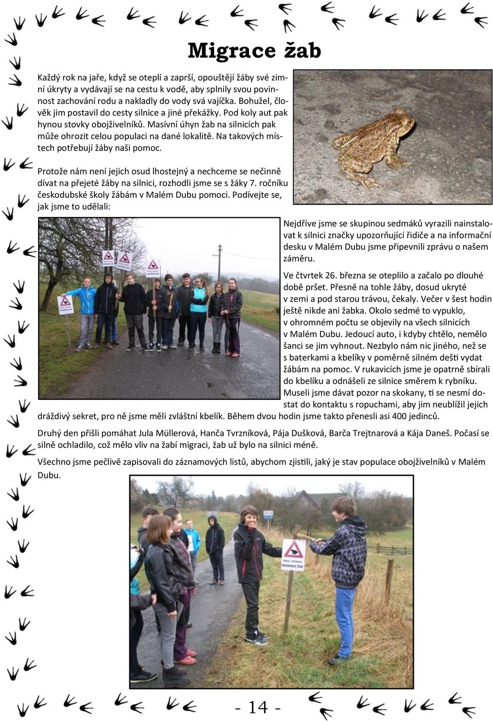 Na takových místech potřebují žáby naši pomoc. Protože nám není jejich osud lhostejný a nechceme se nečinně dívat na přejeté žáby na silnici, rozhodli jsme se s žáky 7.