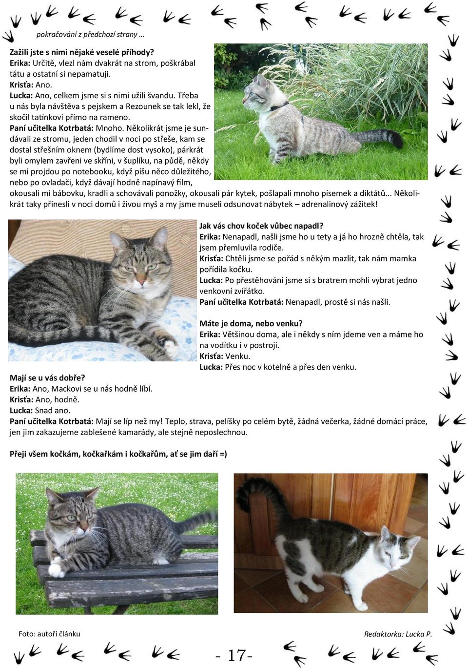 Několikrát jsme je sundávali ze stromu, jeden chodil v noci po střeše, kam se dostal střešním oknem (bydlíme dost vysoko), párkrát byli omylem zavřeni ve skříni, v šuplíku, na půdě, někdy se mi