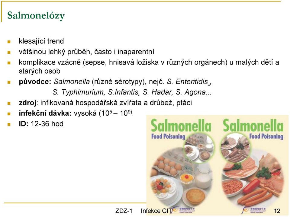 (různé sérotypy), nejč. S. Enteritidis, S. Typhimurium, S.Infantis, S. Hadar, S. Agona.