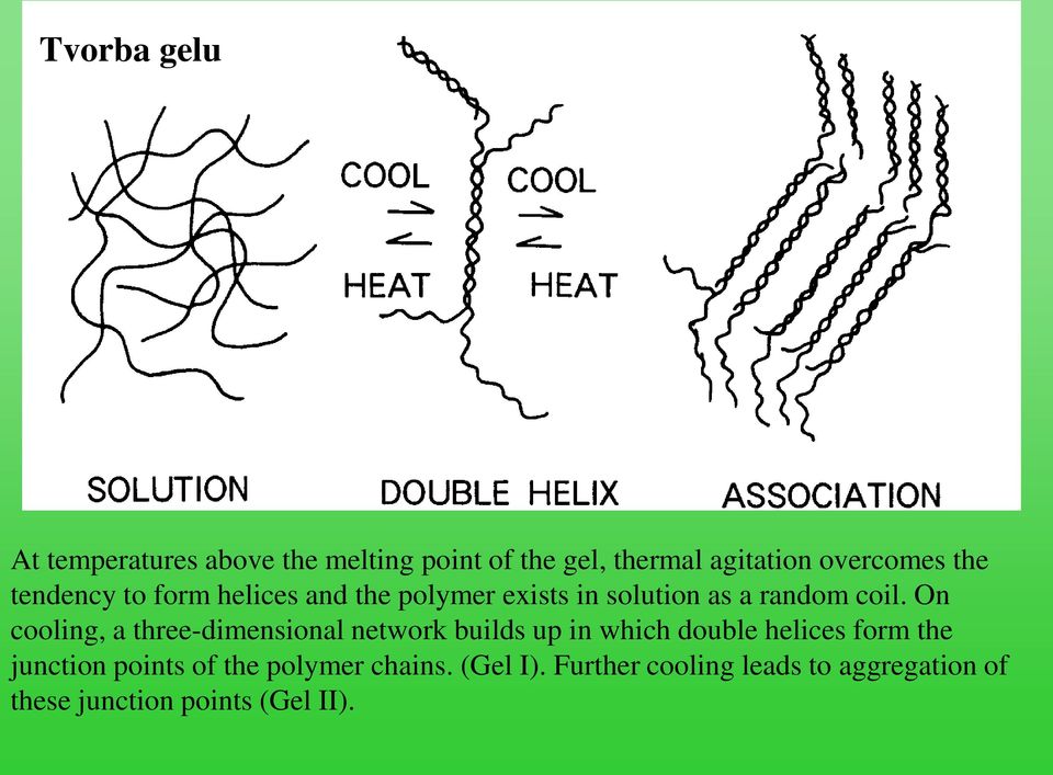 On cooling, a three-dimensional network builds up in which double helices form the junction