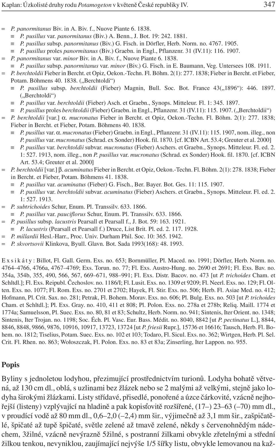 panormitanus var. minor Biv. in A. Biv. f., Nuove Piante 6. 1838. P. pusillus subsp. panormitanus var. minor (Biv.) G. Fisch. in E. Baumann, Veg. Untersees 108. 1911. = P.