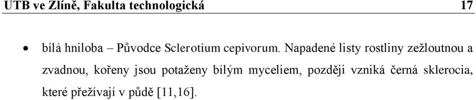 Napadené listy rostliny zežloutnou a zvadnou, kořeny