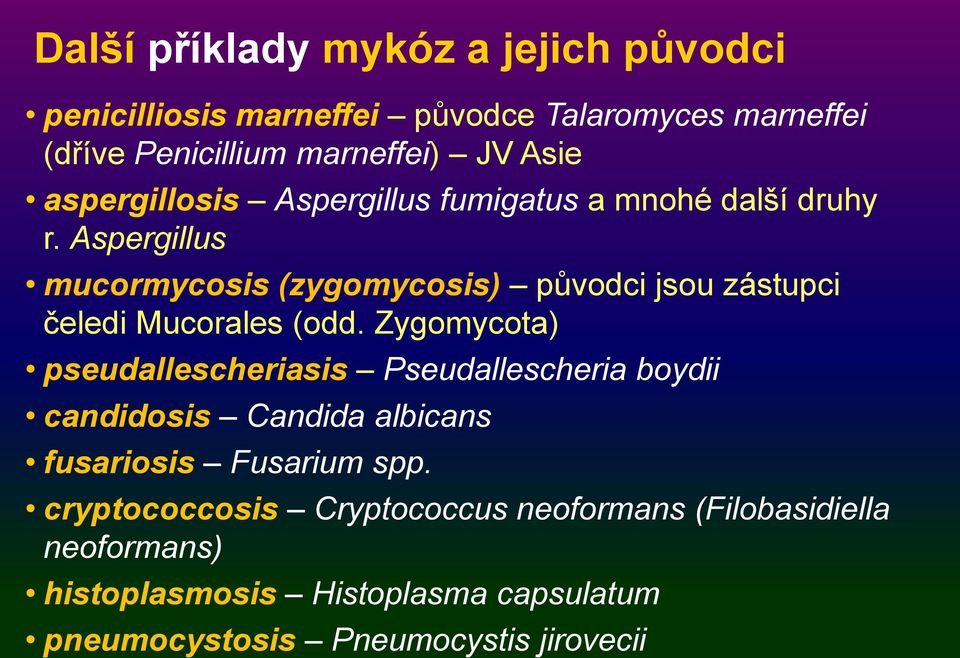 Aspergillus mucormycosis (zygomycosis) původci jsou zástupci čeledi Mucorales (odd.