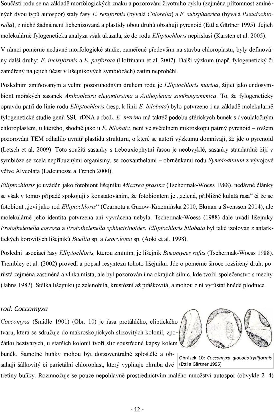 Jejich molekulárně fylogenetická analýza však ukázala, že do rodu Elliptochloris nepřísluší (Karsten et al. 2005).