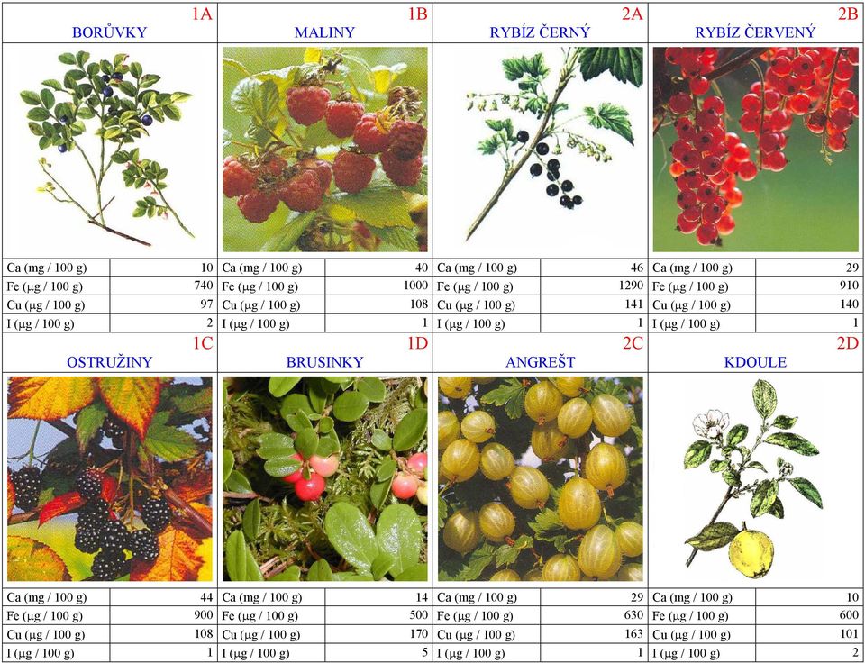 g) 1 OSTRUŽINY 1C BRUSINKY 1D ANGREŠT 2C KDOULE 2D Ca (mg / 100 g) 44 Ca (mg / 100 g) 14 Ca (mg / 100 g) 29 Ca (mg / 100 g) 10 Fe (µg / 100 g) 900 Fe (µg / 100 g) 500 Fe (µg /