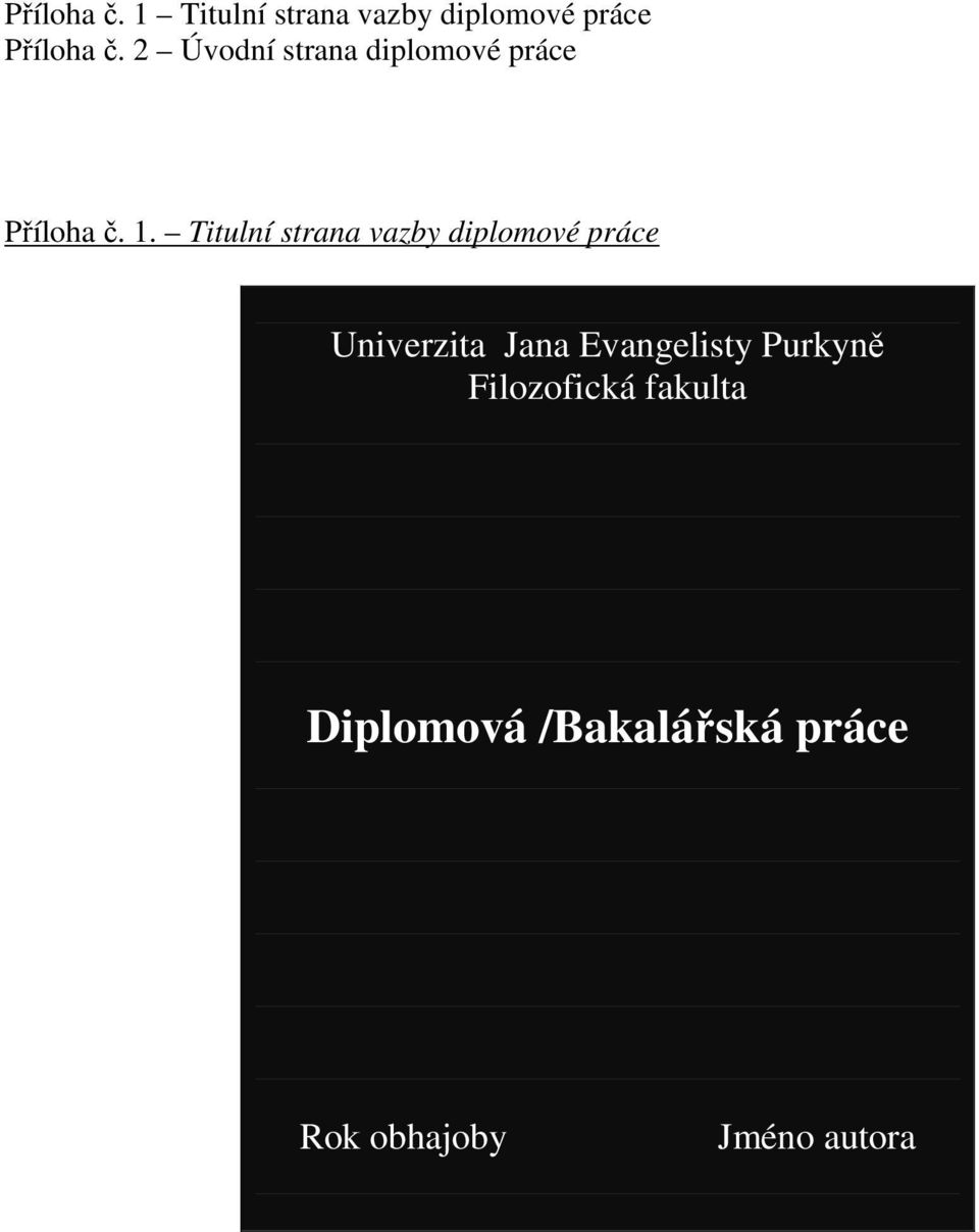 Titulní strana vazby diplomové práce Univerzita Jana