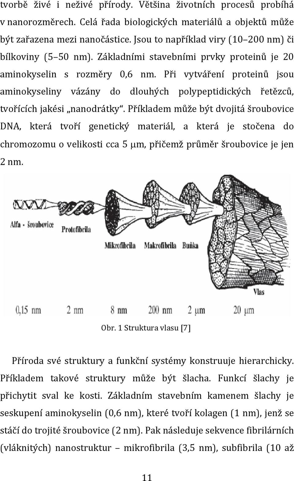 Při vytváření proteinů jsou aminokyseliny vázány do dlouhých polypeptidických řetězců, tvořících jakési nanodrátky.