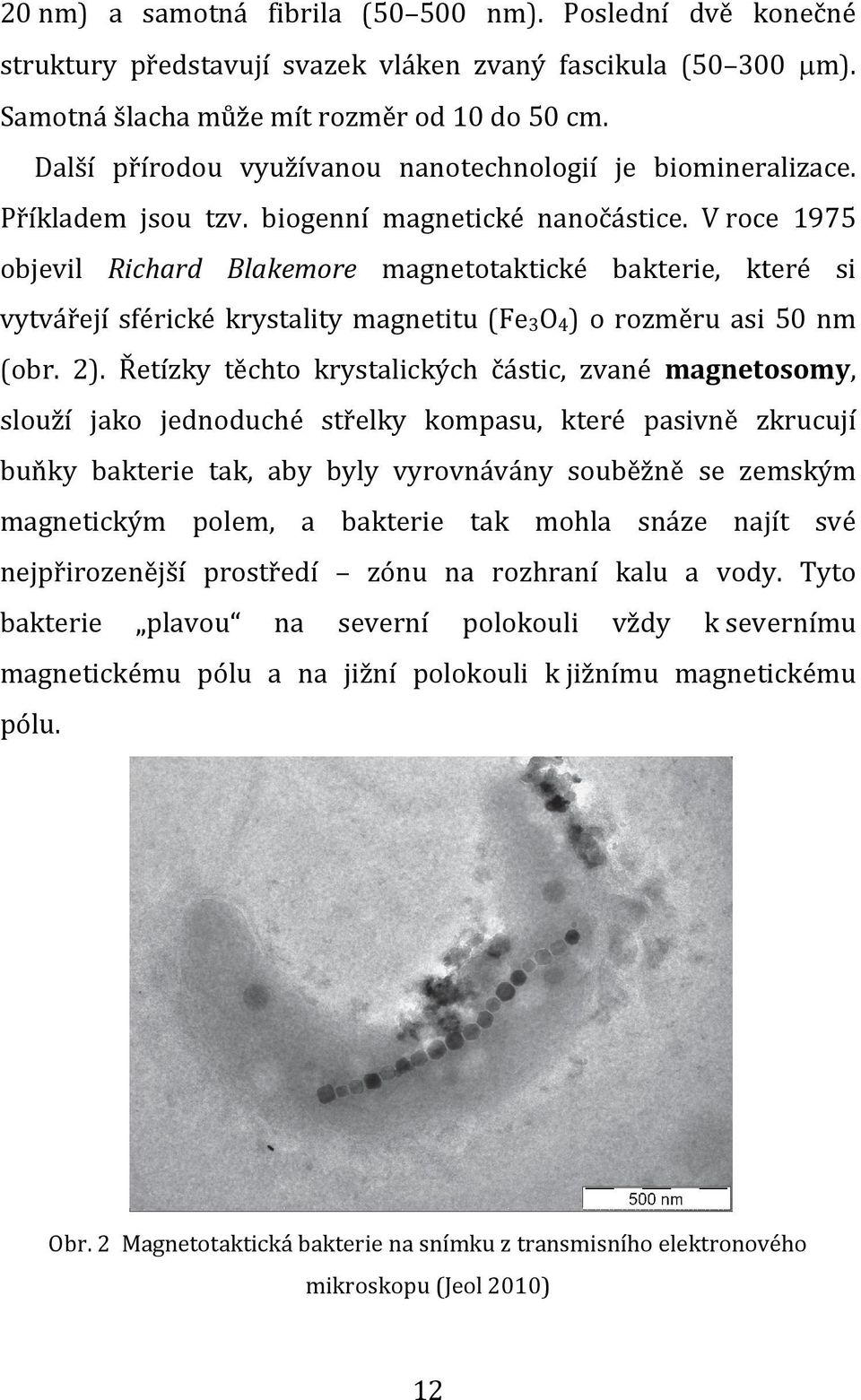 V roce 1975 objevil Richard Blakemore magnetotaktické bakterie, které si vytvářejí sférické krystality magnetitu (Fe3O4) o rozměru asi 50 nm (obr. 2).