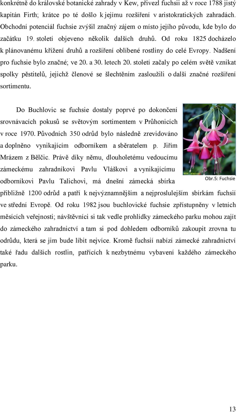 Od roku 1825 docházelo k plánovanému křížení druhů a rozšíření oblíbené rostliny do celé Evropy. Nadšení pro fuchsie bylo značné; ve 20. a 30. letech 20.