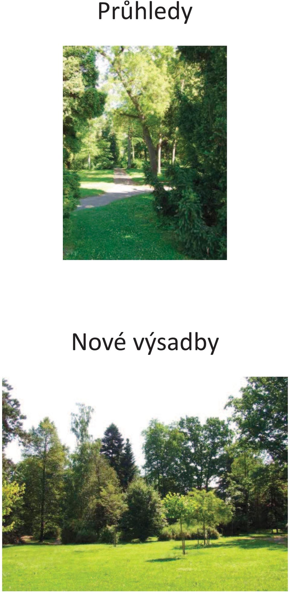 výsadby