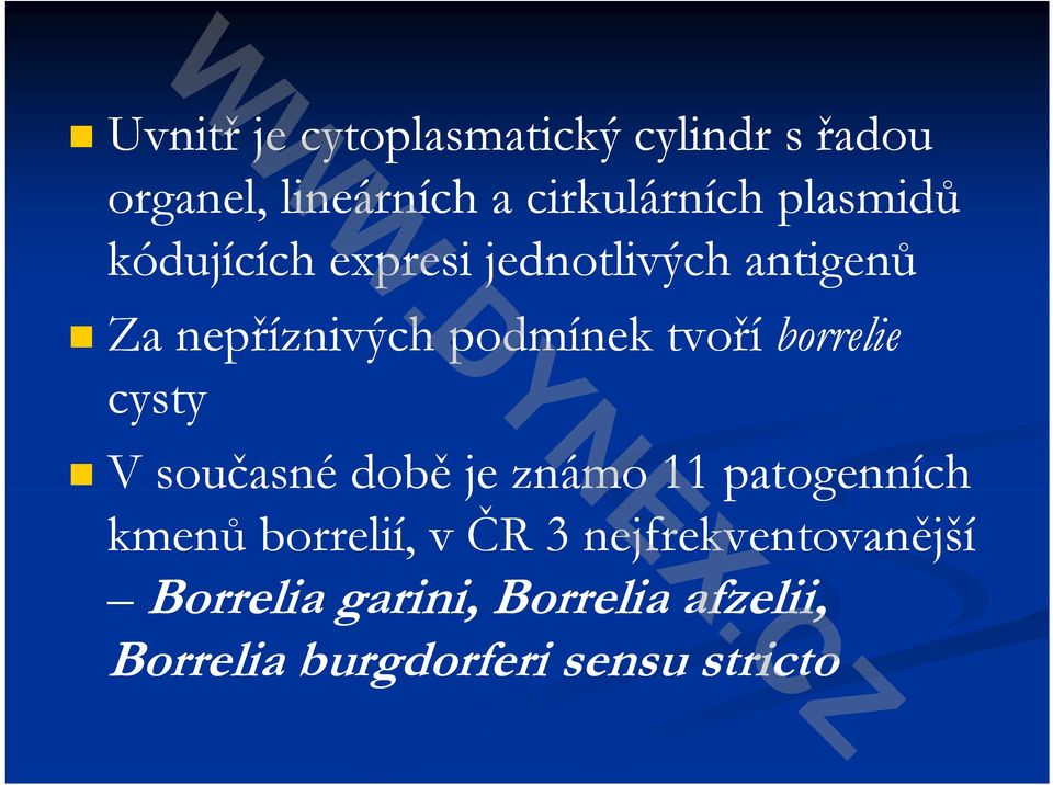 borrelie cst cysty V současné době je známo 11 patogenních kmenů borrelií, v ČR 3